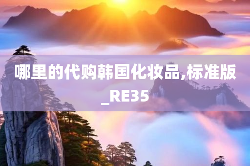 哪里的代购韩国化妆品,标准版_RE35