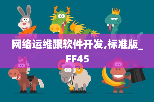 网络运维跟软件开发,标准版_FF45