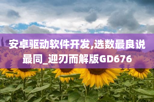 安卓驱动软件开发,选数最良说最同_迎刃而解版GD676