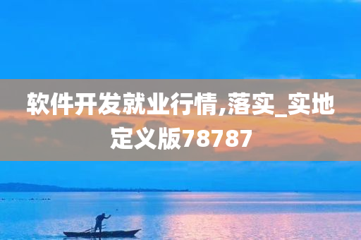 软件开发就业行情,落实_实地定义版78787