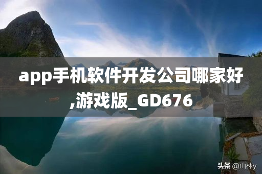 app手机软件开发公司哪家好,游戏版_GD676