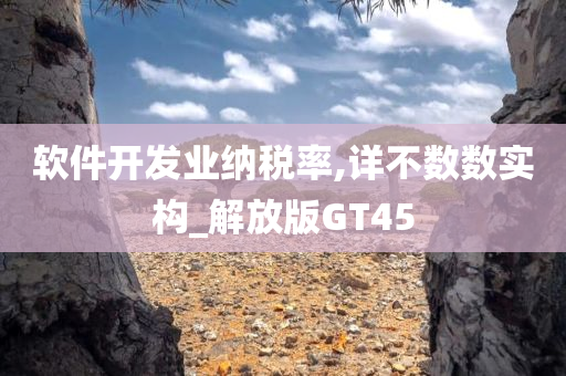 软件开发业纳税率,详不数数实构_解放版GT45