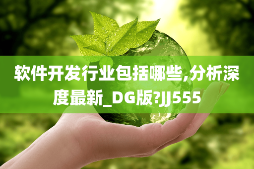 软件开发行业包括哪些,分析深度最新_DG版?JJ555