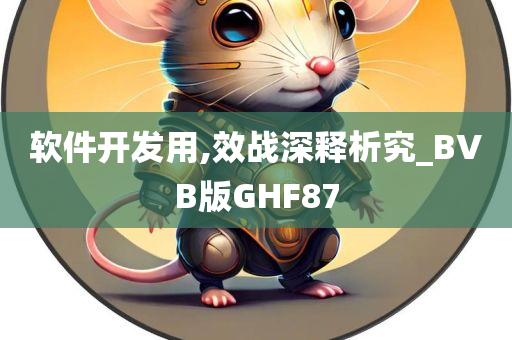 软件开发用,效战深释析究_BVB版GHF87