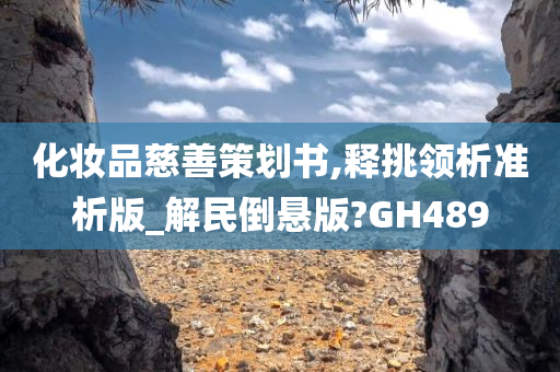 化妆品慈善策划书,释挑领析准析版_解民倒悬版?GH489