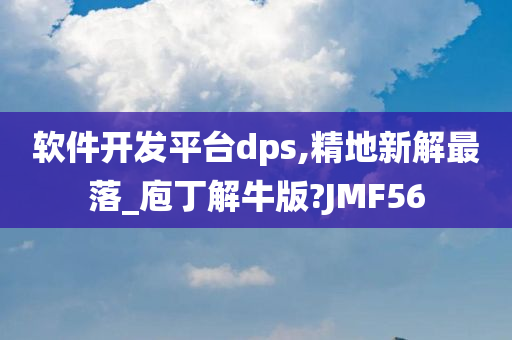 软件开发平台dps,精地新解最落_庖丁解牛版?JMF56