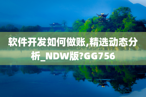 软件开发如何做账,精选动态分析_NDW版?GG756