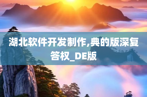 湖北软件开发制作,典的版深复答权_DE版