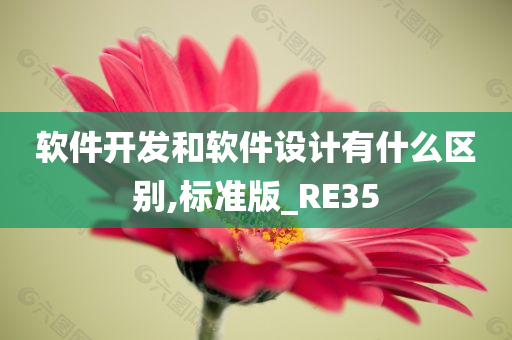 软件开发和软件设计有什么区别,标准版_RE35