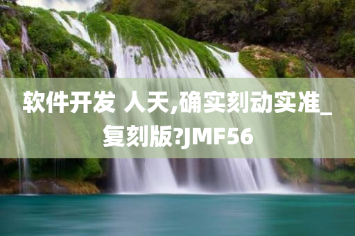 软件开发 人天,确实刻动实准_复刻版?JMF56