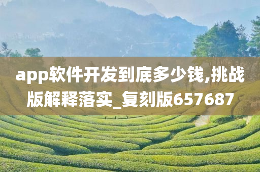 app软件开发到底多少钱,挑战版解释落实_复刻版657687