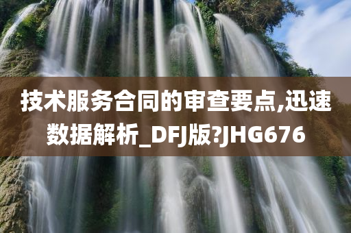 技术服务合同的审查要点,迅速数据解析_DFJ版?JHG676