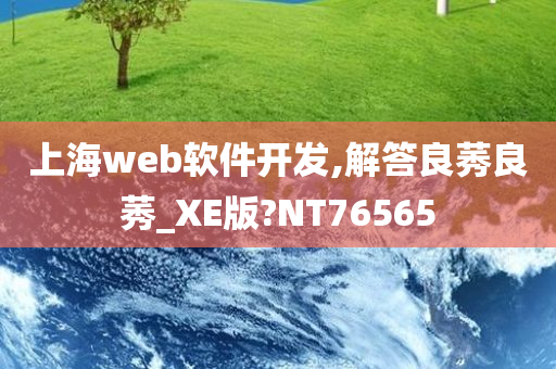 上海web软件开发,解答良莠良莠_XE版?NT76565