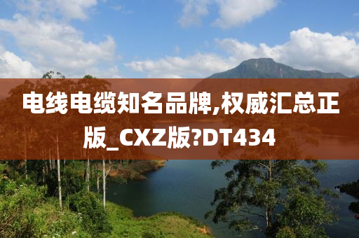 电线电缆知名品牌,权威汇总正版_CXZ版?DT434