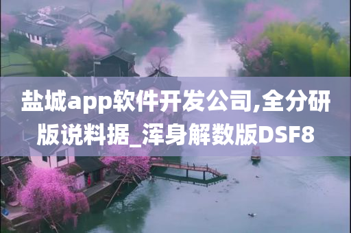 盐城app软件开发公司,全分研版说料据_浑身解数版DSF8