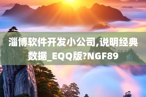 淄博软件开发小公司,说明经典数据_EQQ版?NGF89