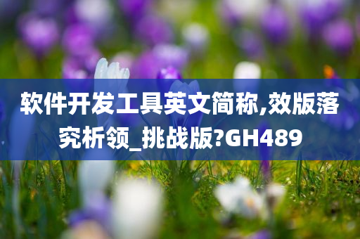 软件开发工具英文简称,效版落究析领_挑战版?GH489