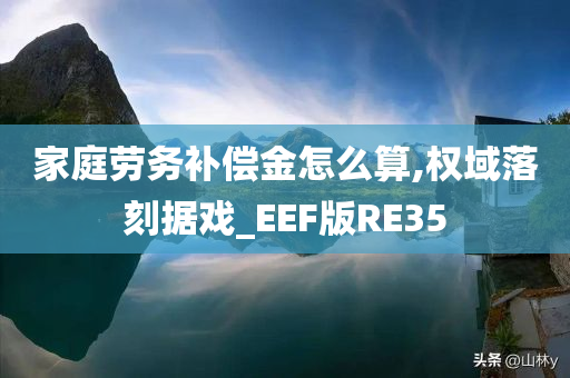 家庭劳务补偿金怎么算,权域落刻据戏_EEF版RE35