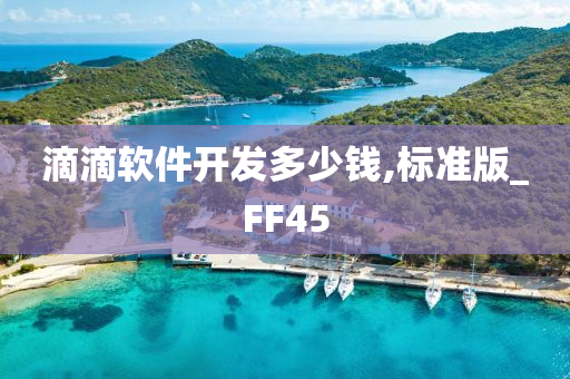 滴滴软件开发多少钱,标准版_FF45