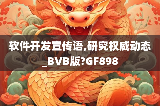 软件开发宣传语,研究权威动态_BVB版?GF898