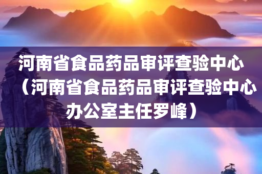 河南省食品药品审评查验中心（河南省食品药品审评查验中心办公室主任罗峰）