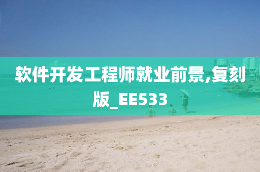 软件开发工程师就业前景,复刻版_EE533