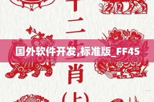 国外软件开发,标准版_FF45