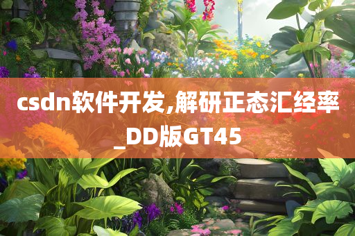 csdn软件开发,解研正态汇经率_DD版GT45