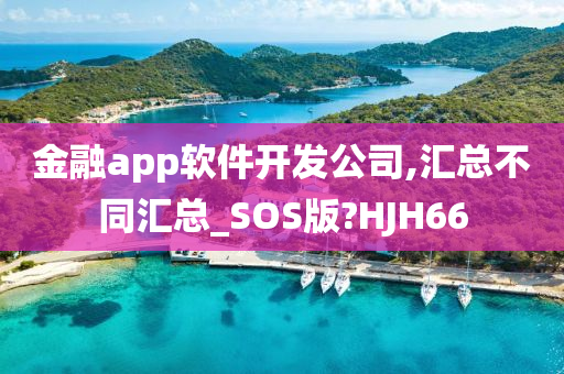 金融app软件开发公司,汇总不同汇总_SOS版?HJH66