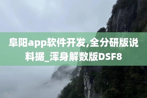 阜阳app软件开发,全分研版说料据_浑身解数版DSF8