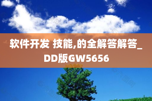 软件开发 技能,的全解答解答_DD版GW5656