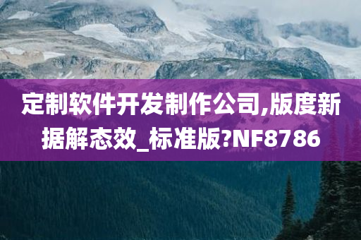 定制软件开发制作公司,版度新据解态效_标准版?NF8786