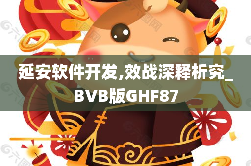 延安软件开发,效战深释析究_BVB版GHF87