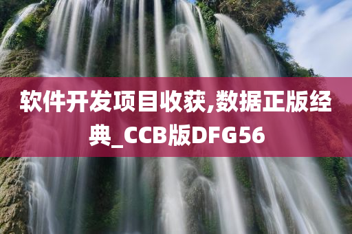 软件开发项目收获,数据正版经典_CCB版DFG56