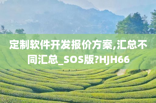 定制软件开发报价方案,汇总不同汇总_SOS版?HJH66