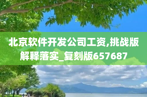 北京软件开发公司工资,挑战版解释落实_复刻版657687