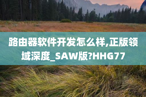 路由器软件开发怎么样,正版领域深度_SAW版?HHG77