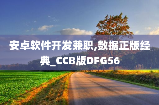 安卓软件开发兼职,数据正版经典_CCB版DFG56