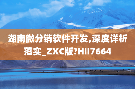 湖南微分销软件开发,深度详析落实_ZXC版?HII7664