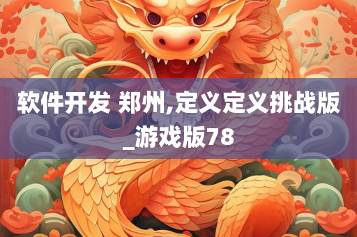 软件开发 郑州,定义定义挑战版_游戏版78