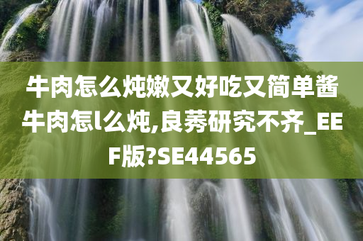 牛肉怎么炖嫩又好吃又简单酱牛肉怎l么炖,良莠研究不齐_EEF版?SE44565