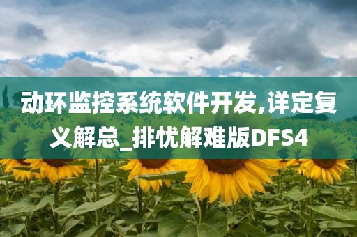 动环监控系统软件开发,详定复义解总_排忧解难版DFS4