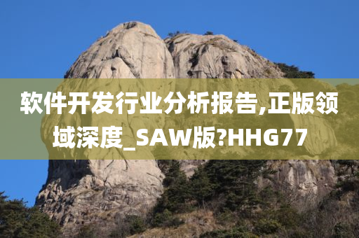 软件开发行业分析报告,正版领域深度_SAW版?HHG77