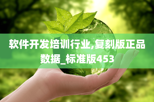 软件开发培训行业,复刻版正品数据_标准版453