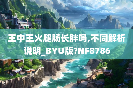 王中王火腿肠长胖吗,不同解析说明_BYU版?NF8786