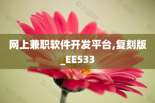 网上兼职软件开发平台,复刻版_EE533