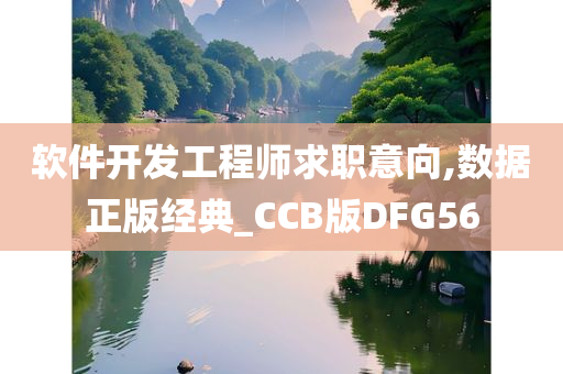 软件开发工程师求职意向,数据正版经典_CCB版DFG56