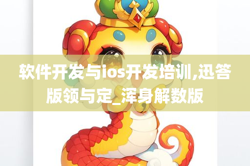 软件开发与ios开发培训,迅答版领与定_浑身解数版