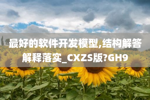 最好的软件开发模型,结构解答解释落实_CXZS版?GH9