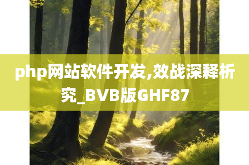 php网站软件开发,效战深释析究_BVB版GHF87